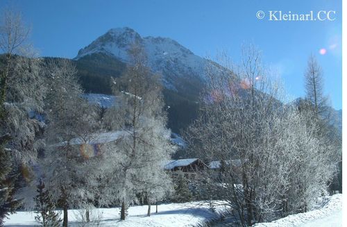Verschneite Bäume vor Bergkulisse